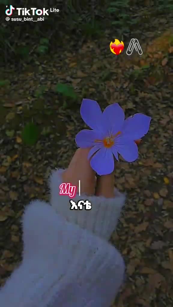 @Elias Terefa