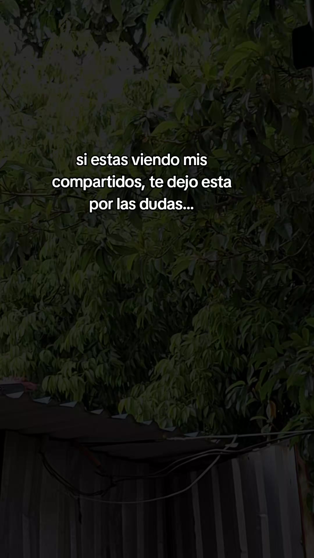@E r i s O m a r