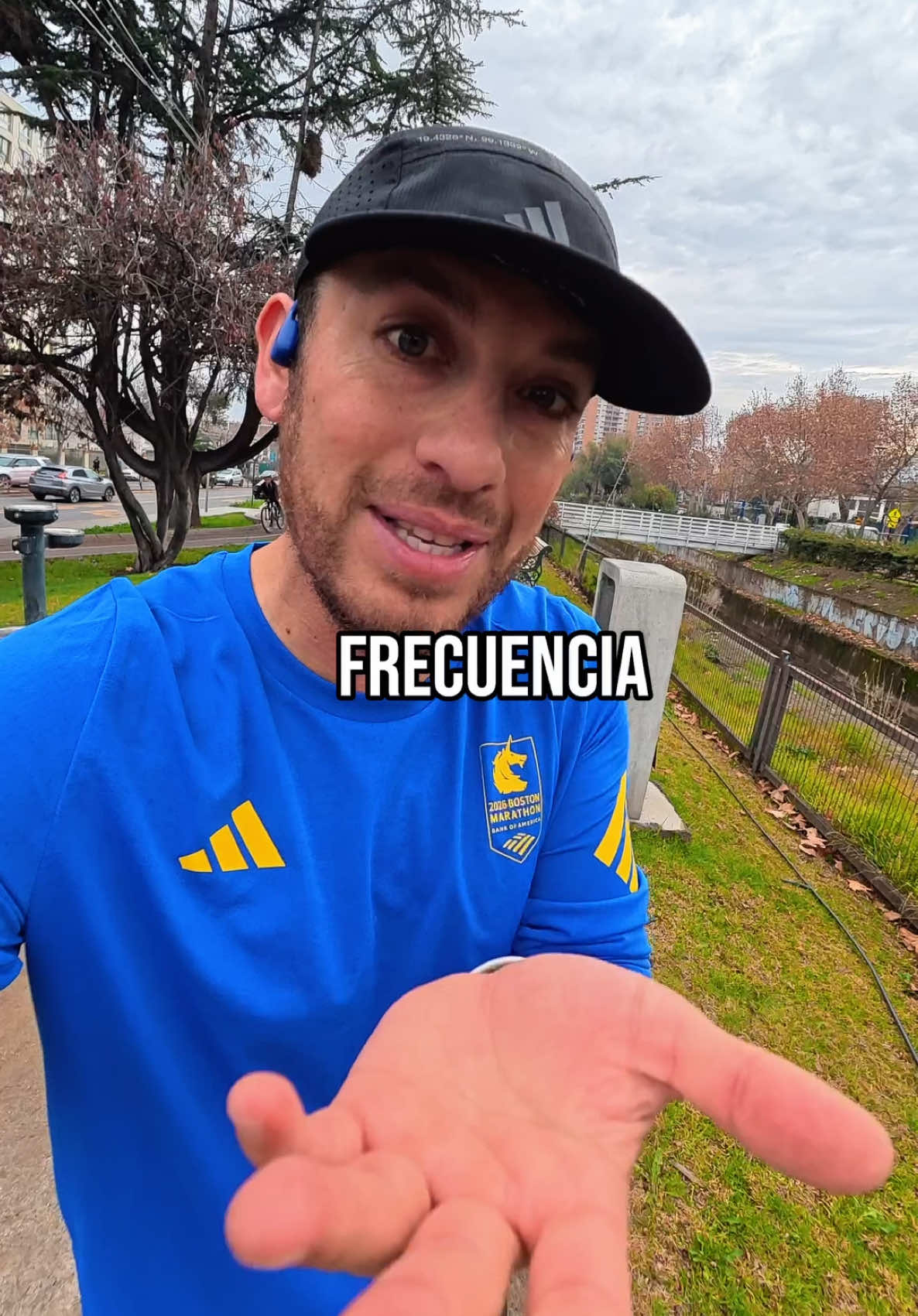 @Seba Campos