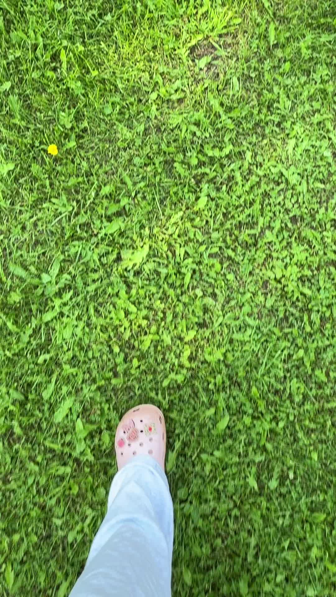 @StifflersAunty 🍁