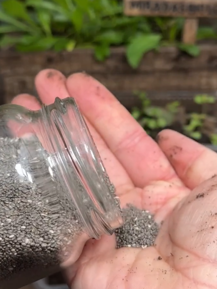 @PlantsLife