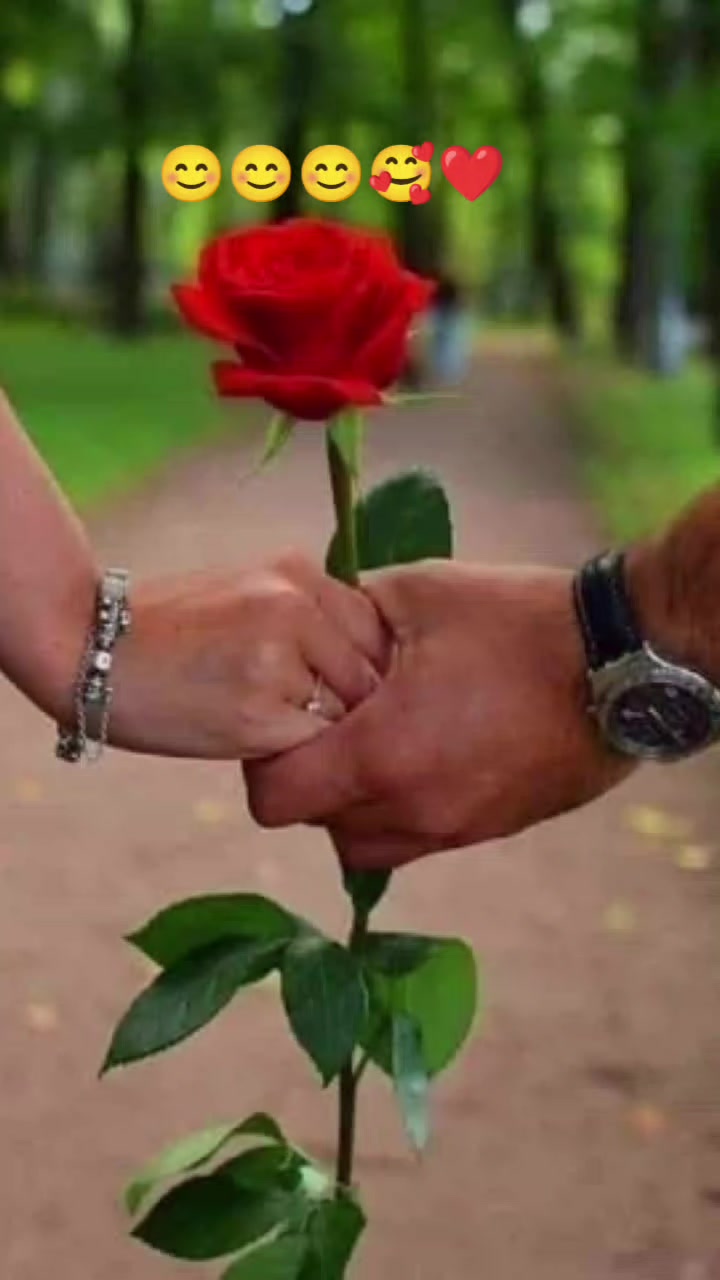 @max_serap