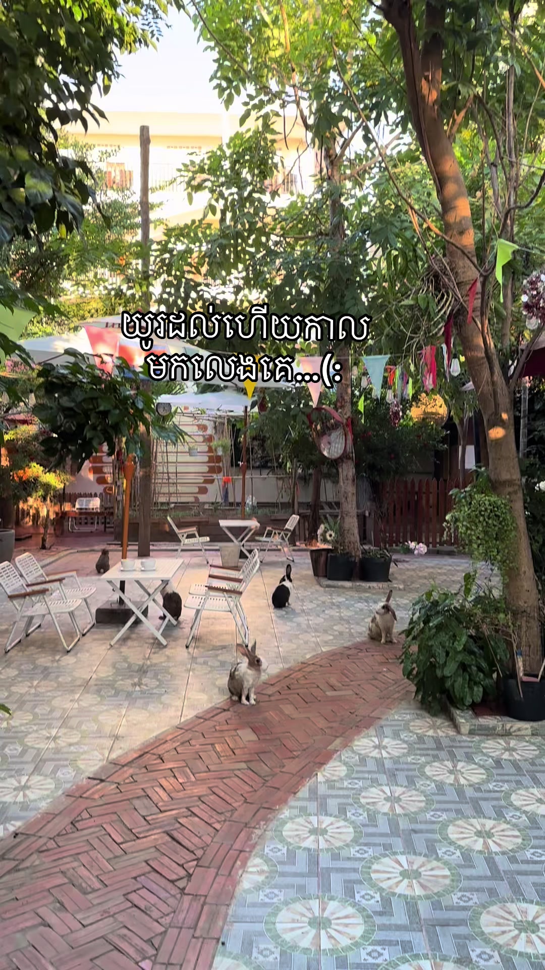 @សួនកាហ្វេ Garden Coffee