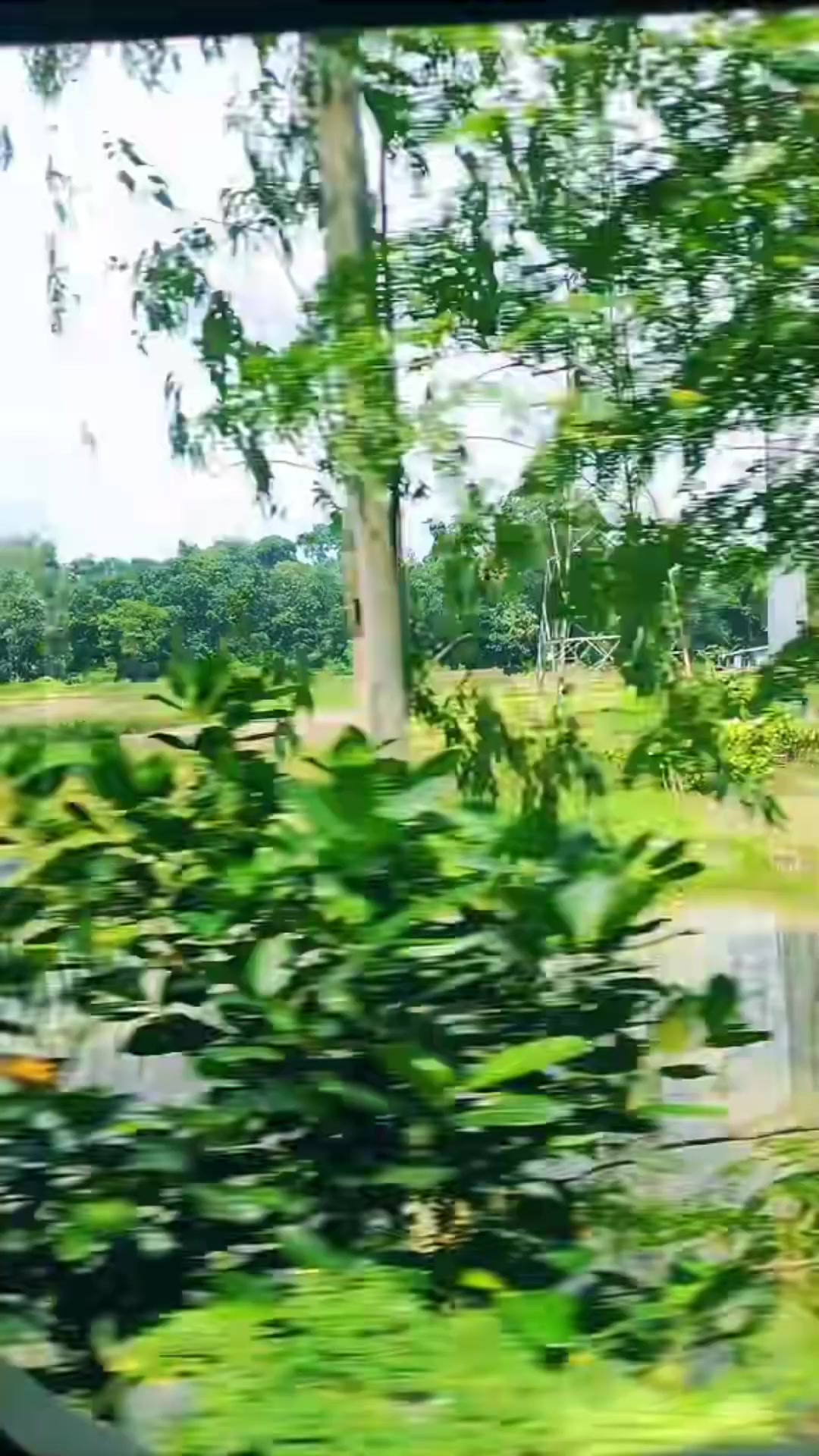 @🕊️💘, তানহা,,,,,ইসলাম,,🌸🥂🎀