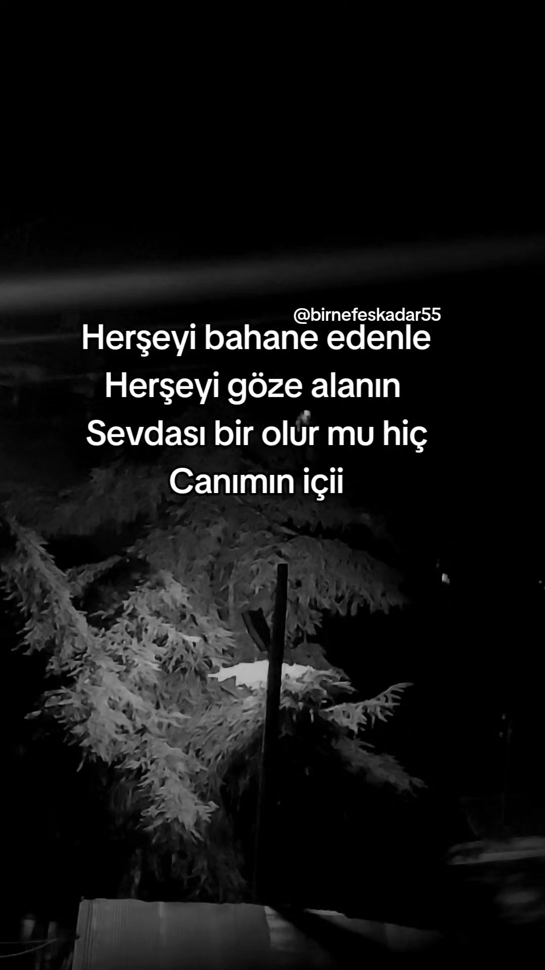 @birnefeskadar55