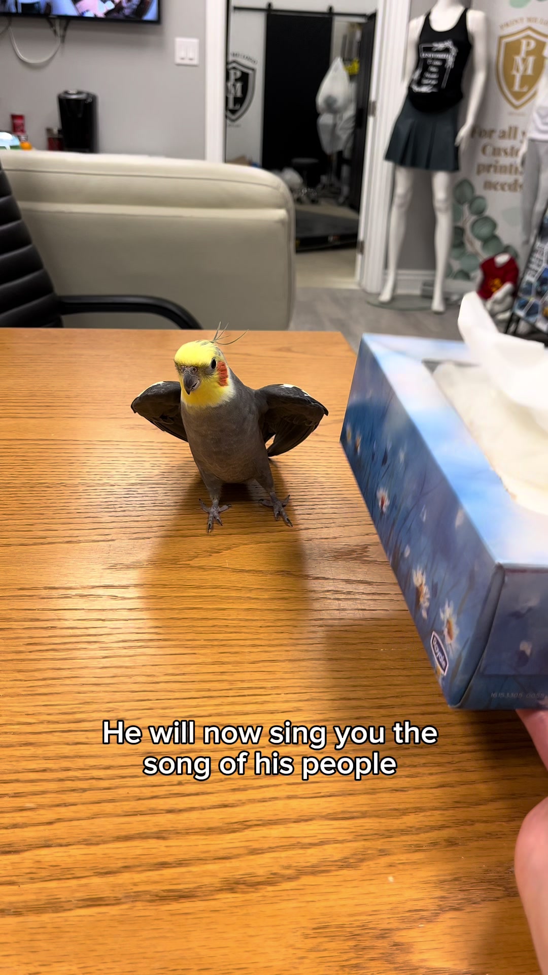@Emery The Branch Manager