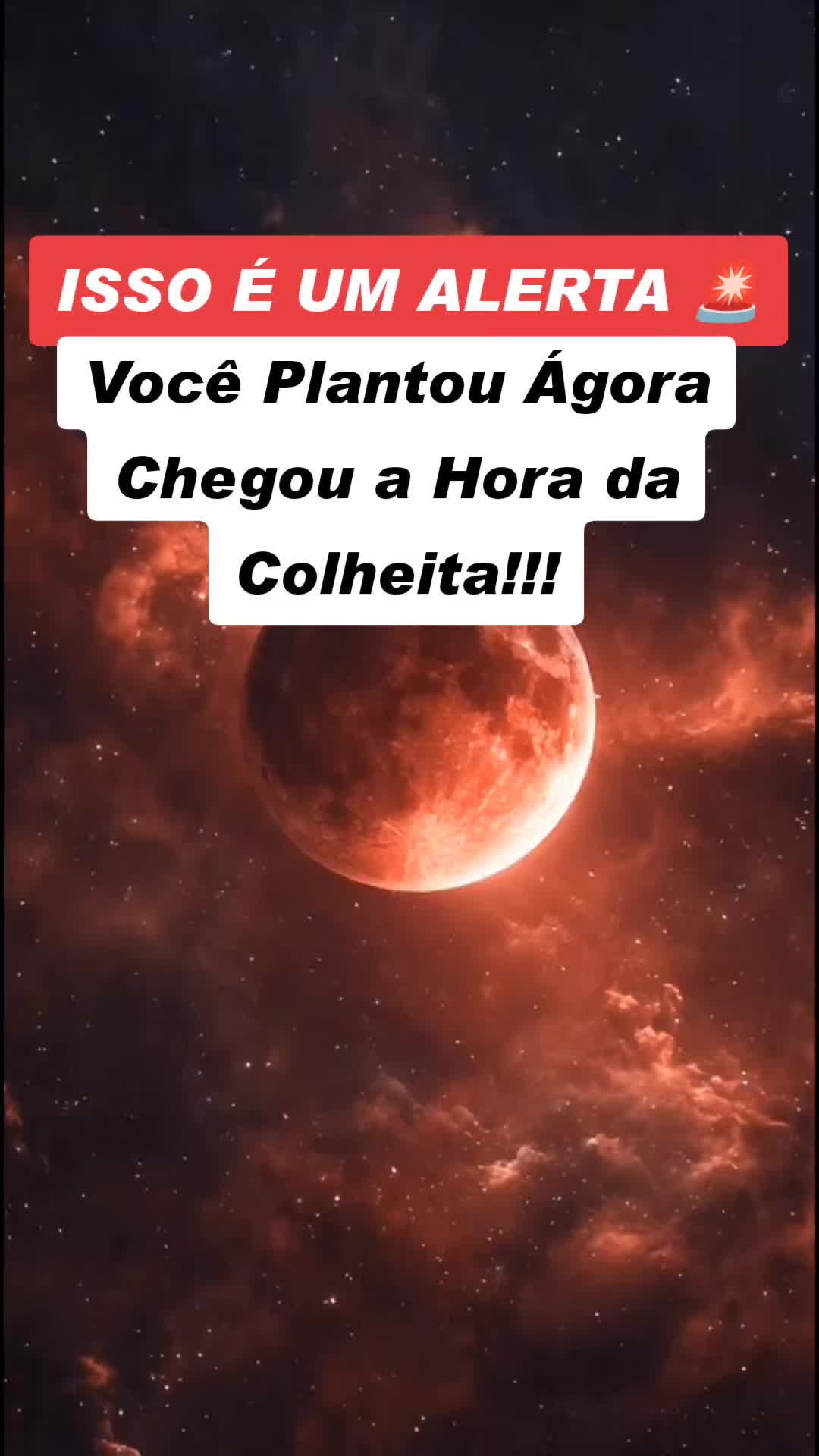 @Ecos da Alma