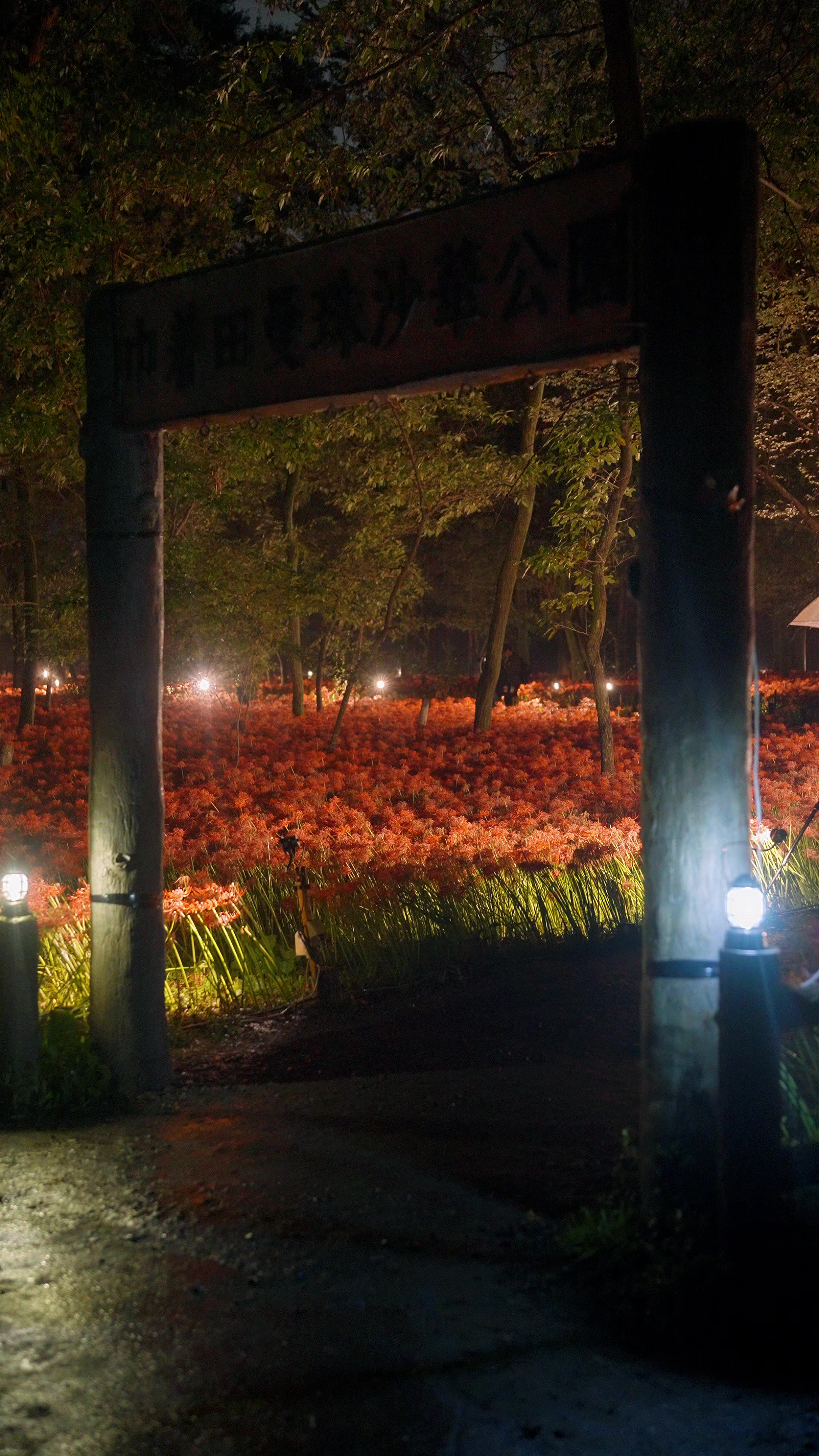@Japan Walker