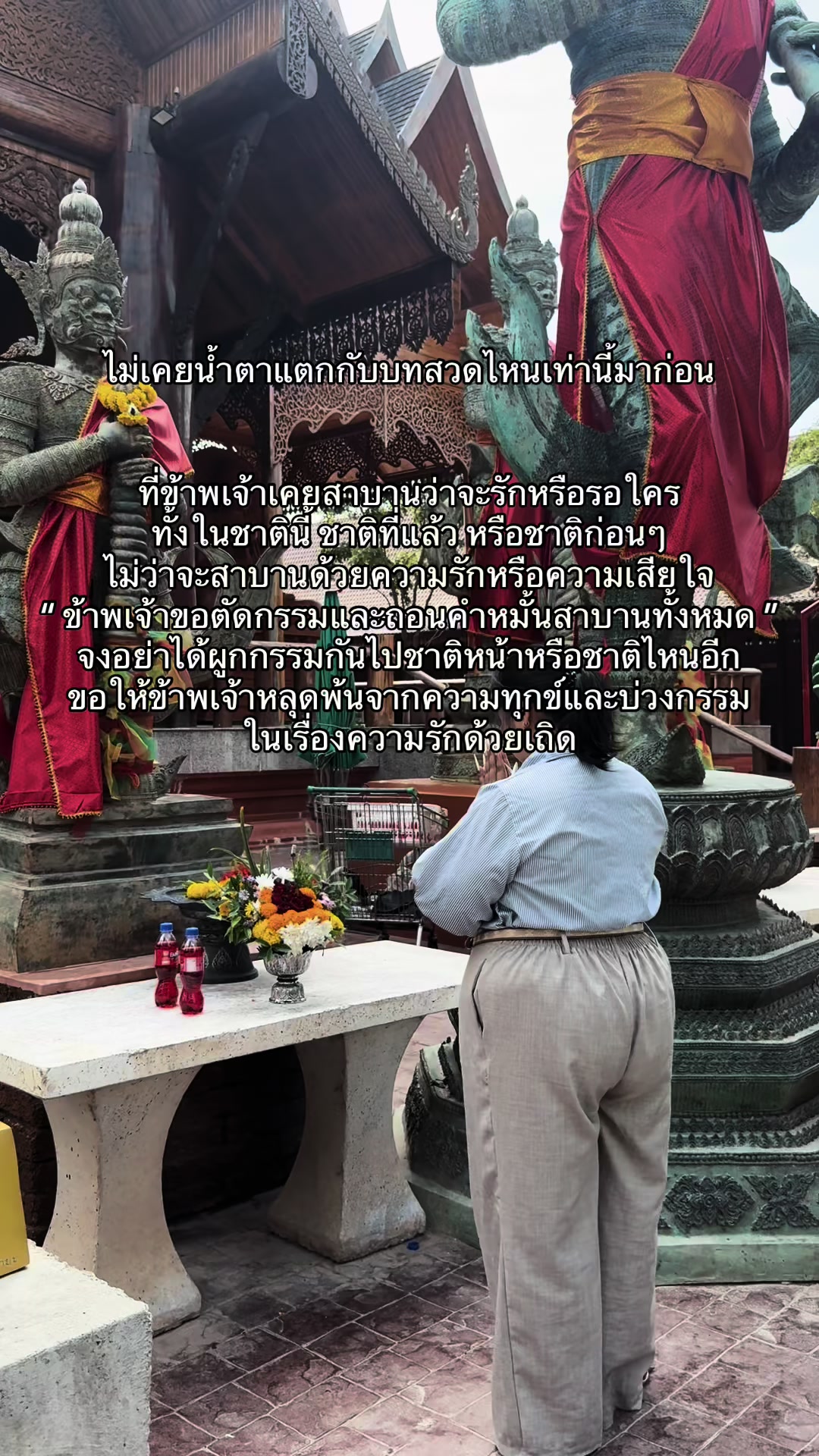 @หอบหมี หนีสงคราม🇹🇭 (128.6K)