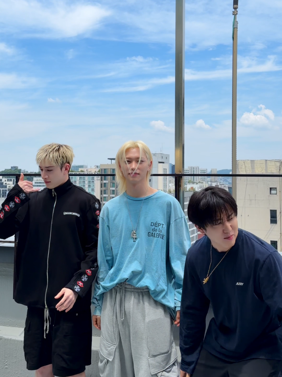 @Stray Kids