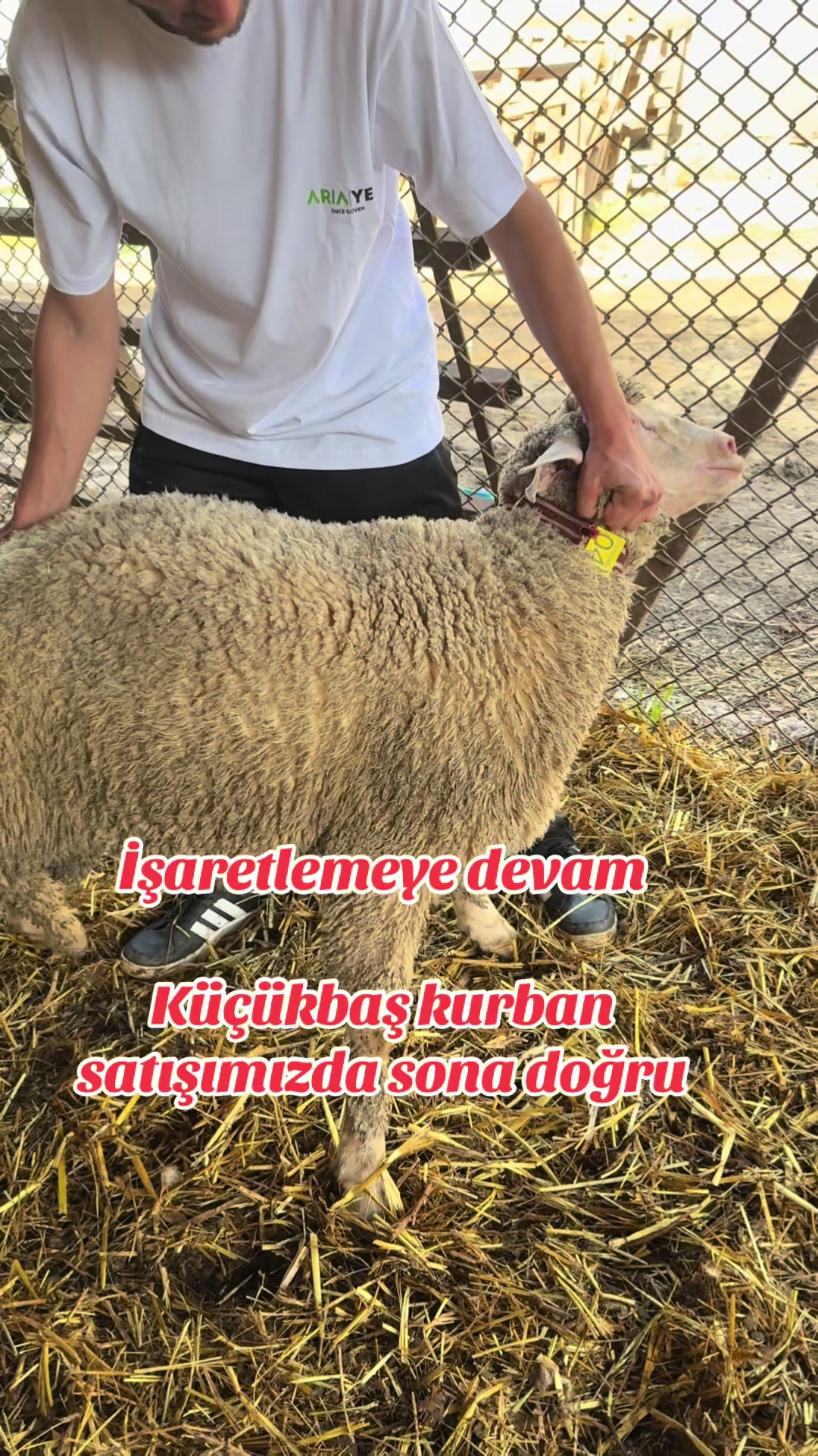 @Has Besi