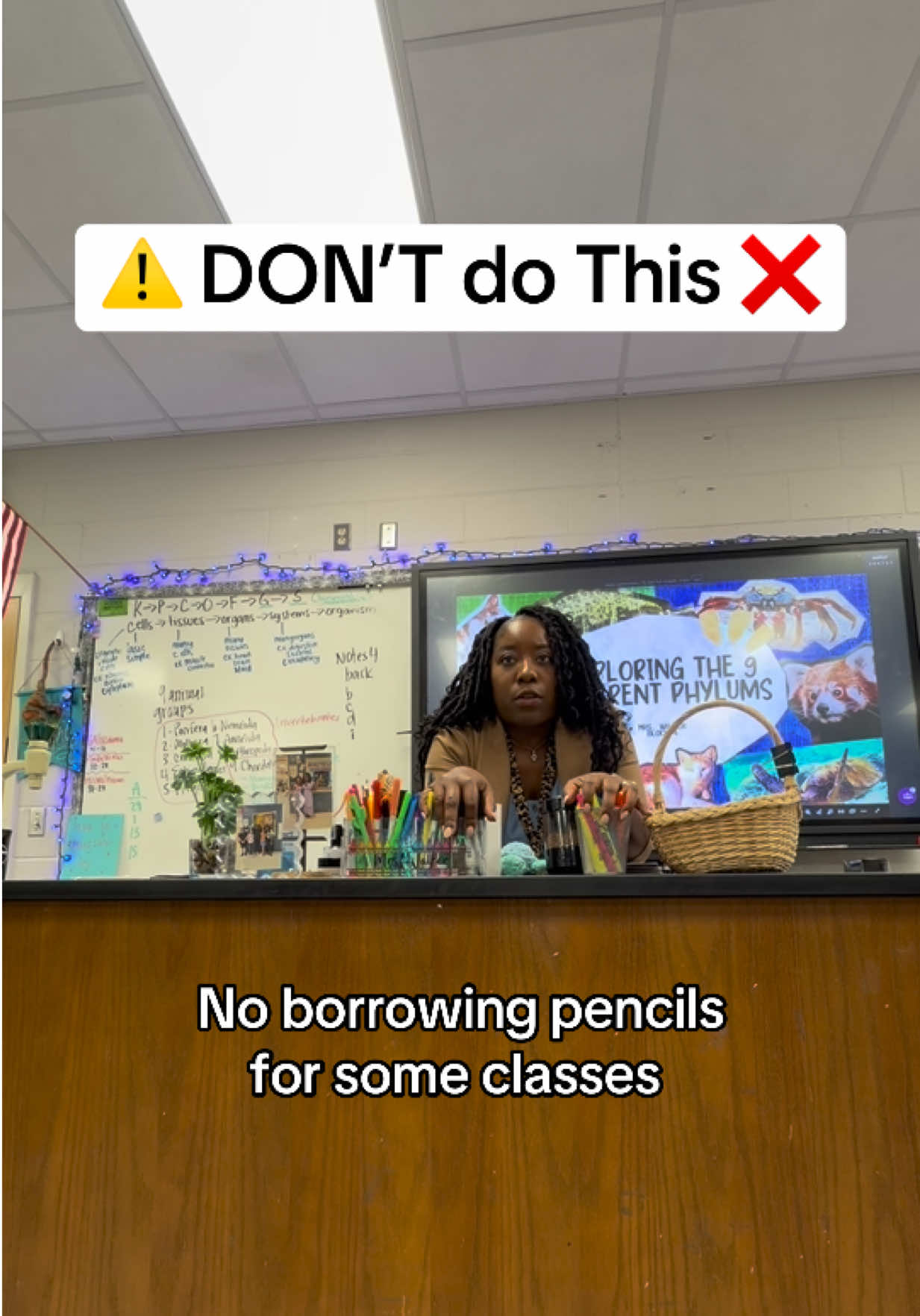 @Mrs Walker