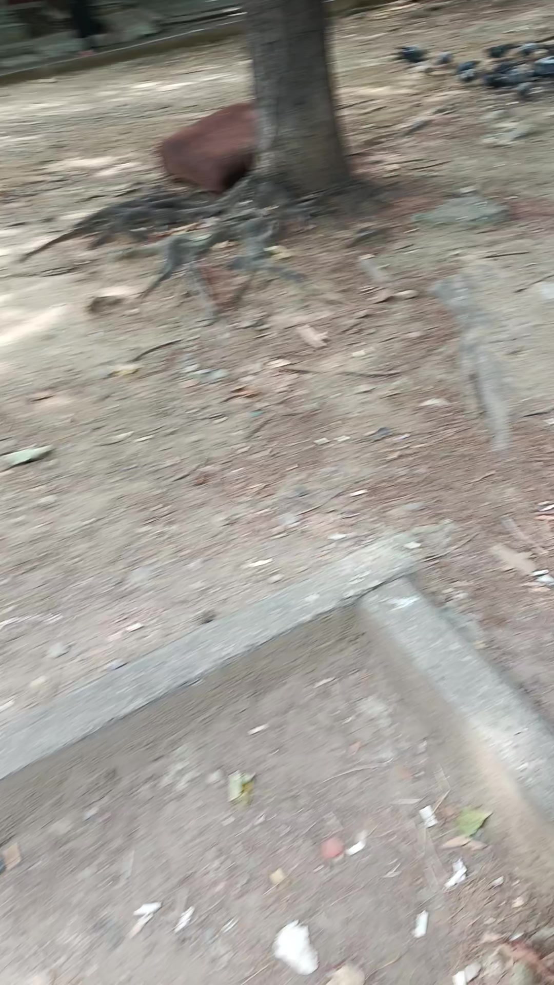 @แกแแแ๐