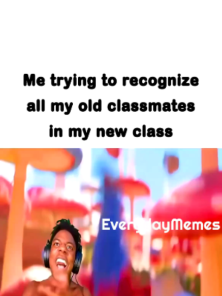 @EverydayMemes