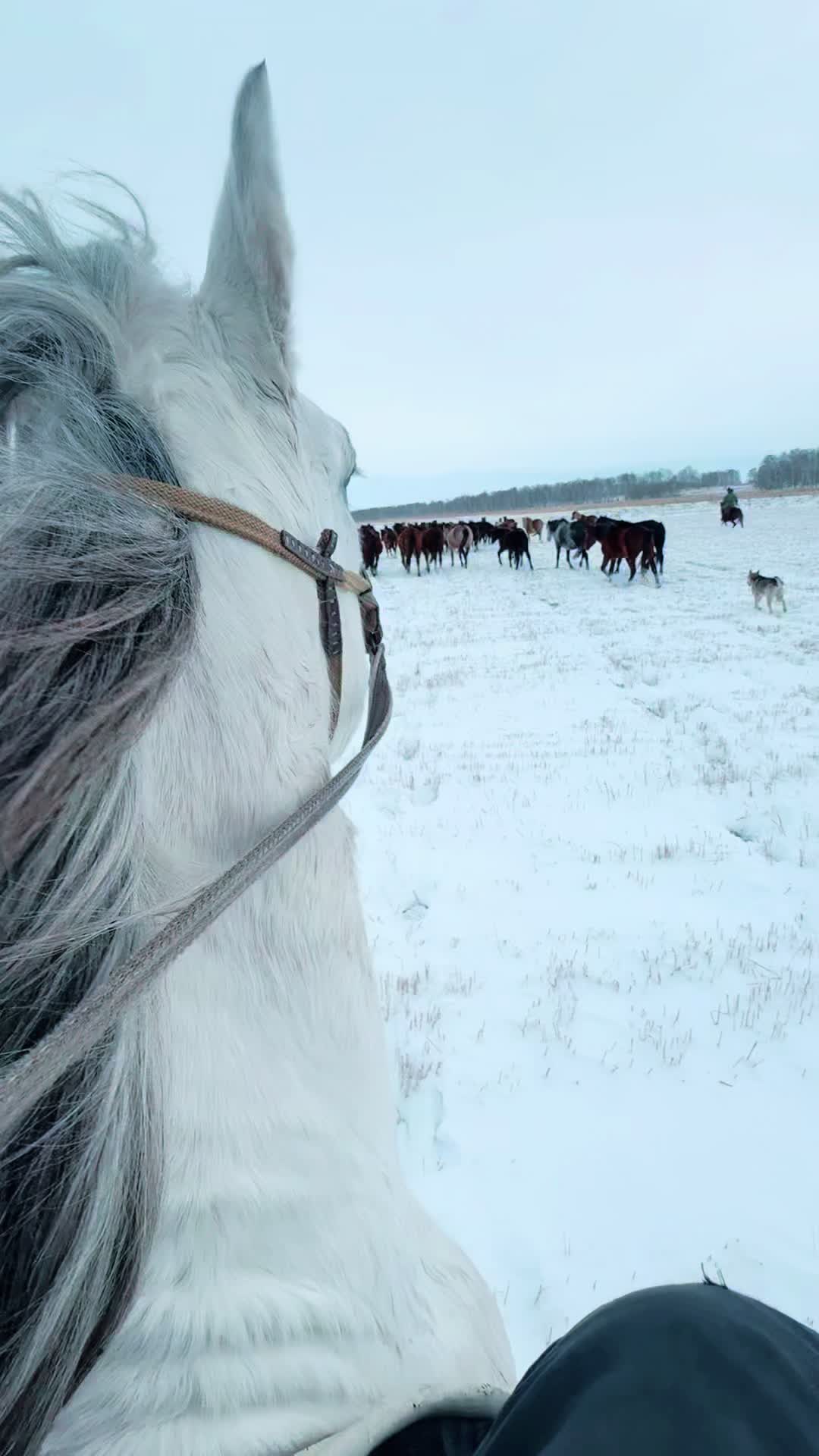 @Какилеев Ескендр