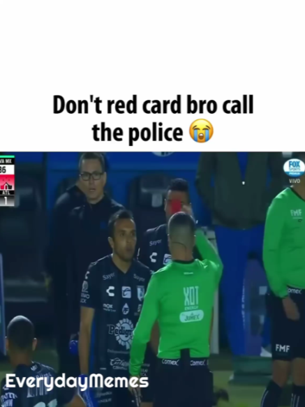 @EverydayMemes