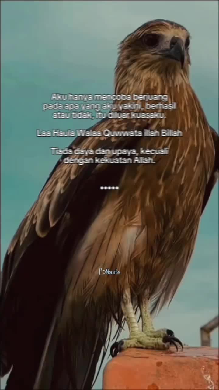 @ᥫ᭡ᴄᴇᴏ_ᴏғ_sᴛᴏʀʏ