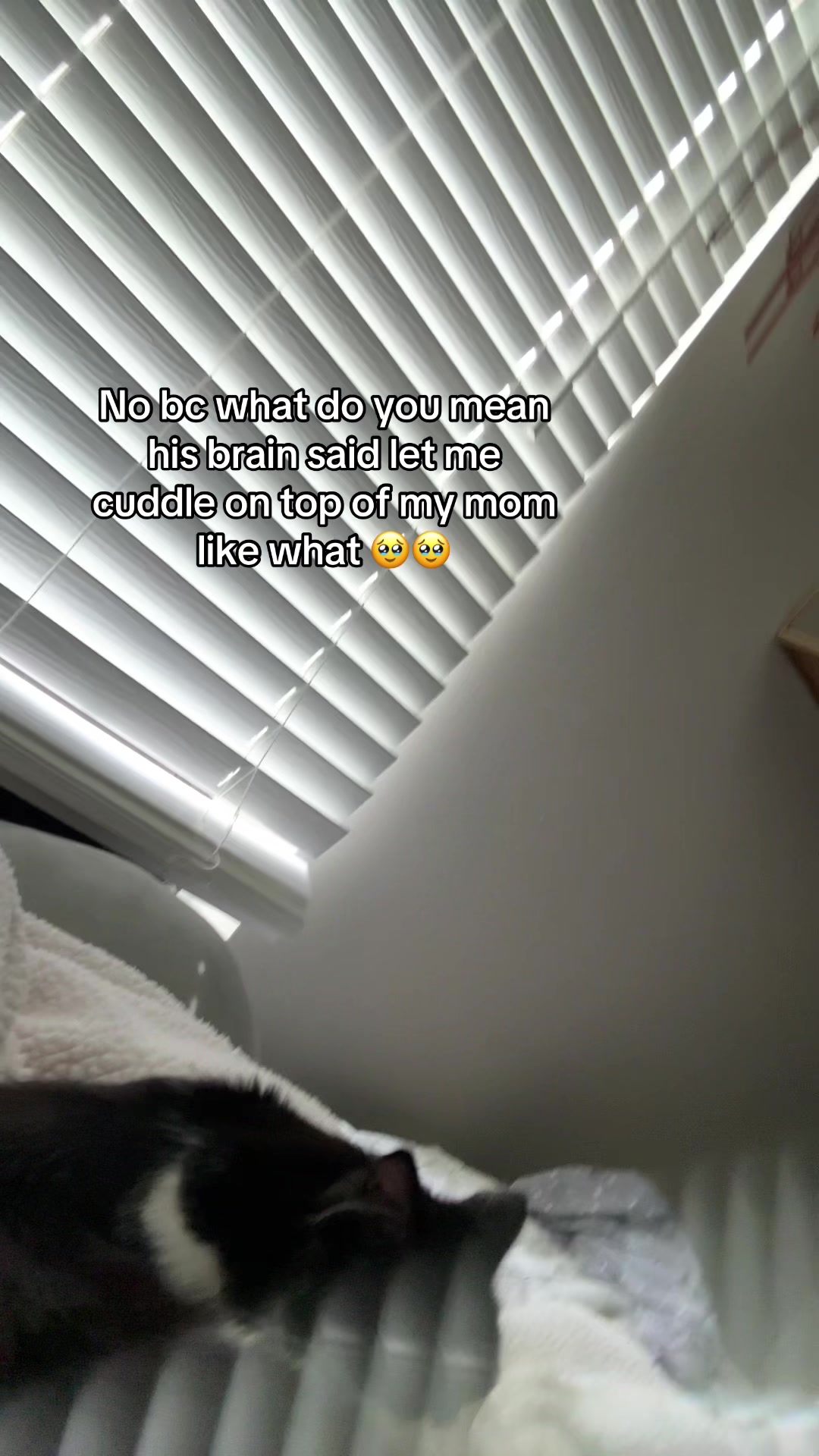 @sierramejia_25