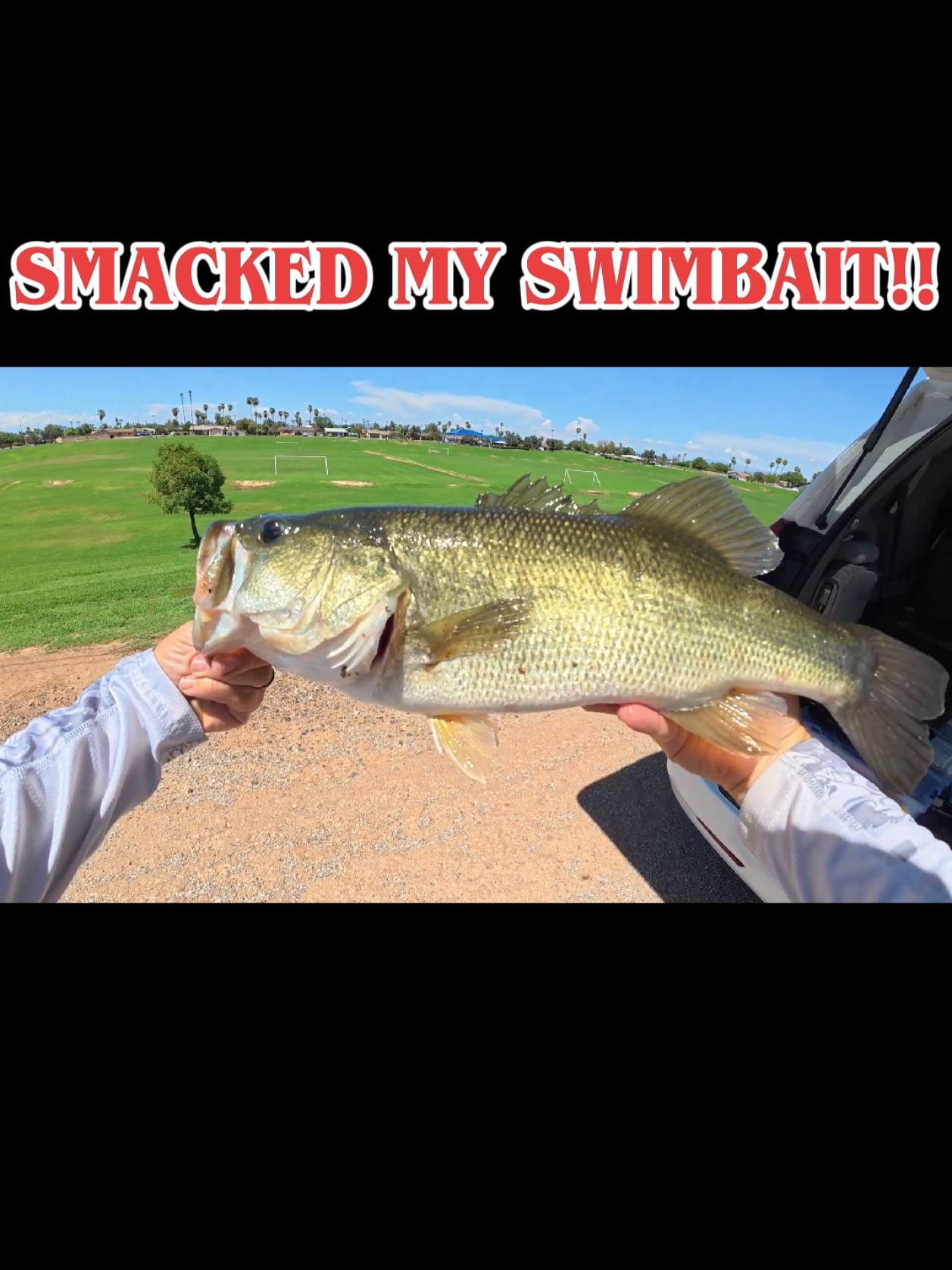 @SalmonInTheDesert