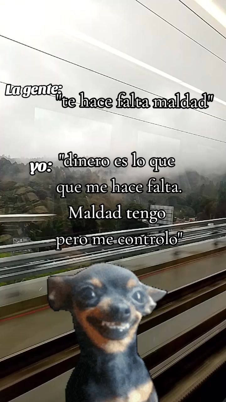 @Patricia Loza