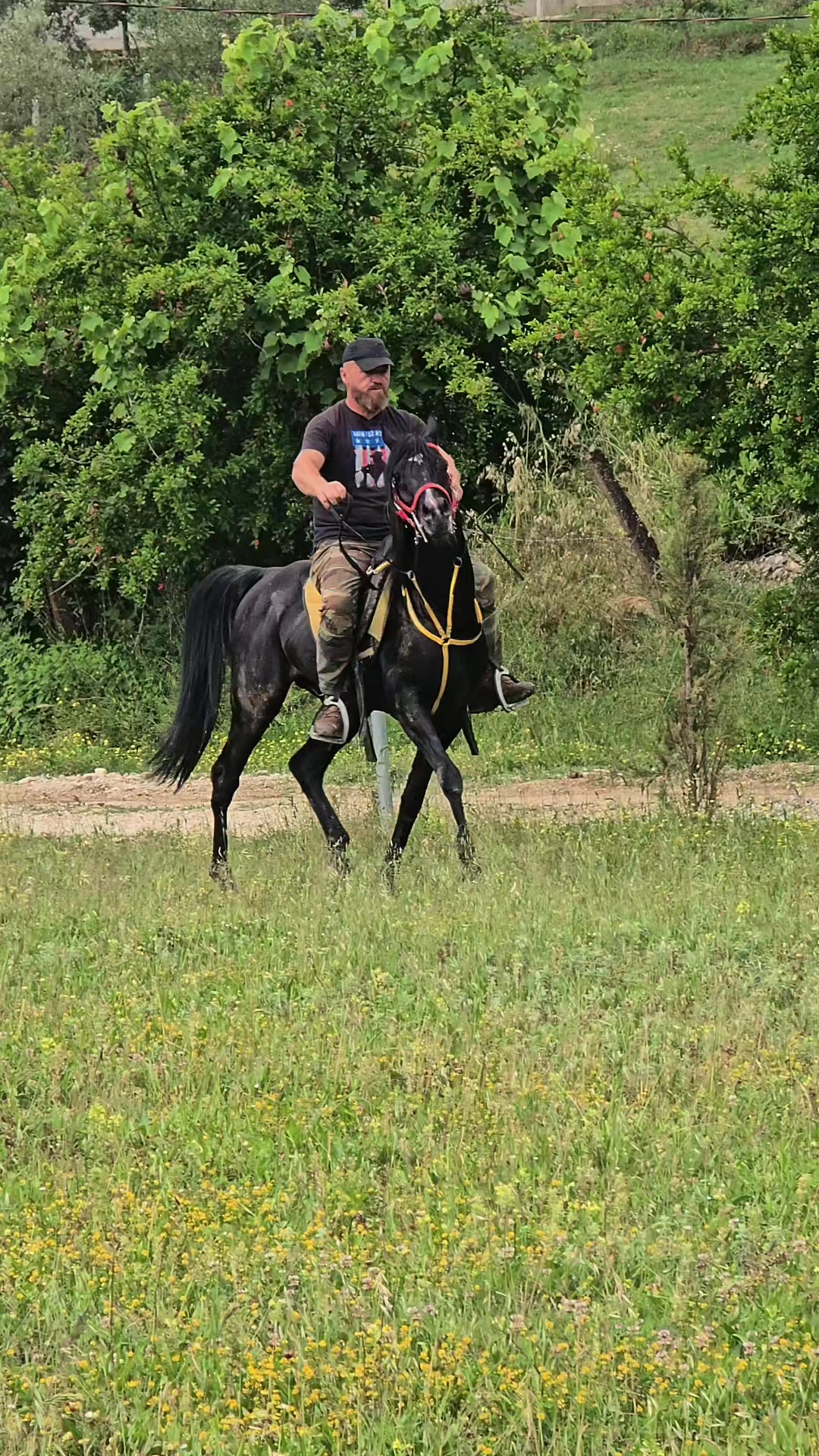 @Horse Training Center Albania