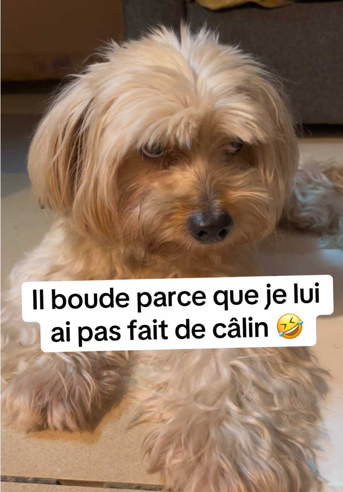 @Herv&eacute; Gastaldello