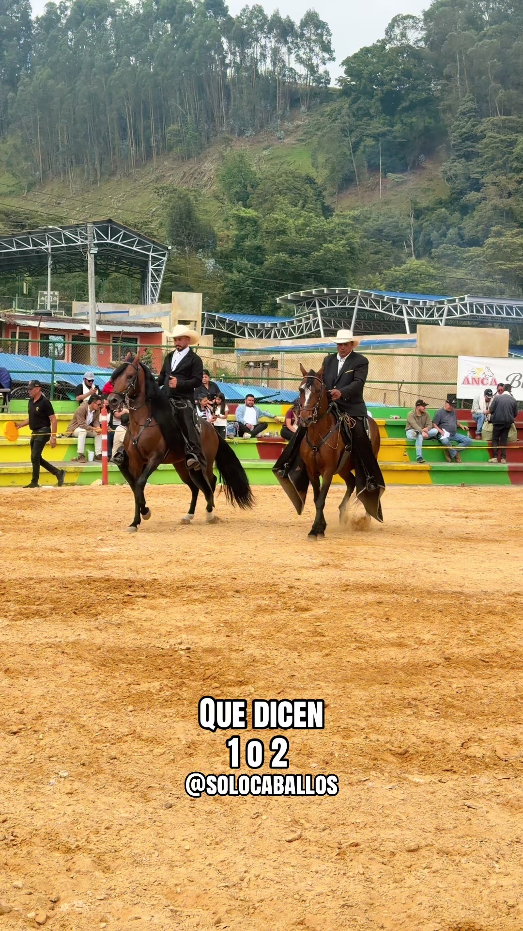 @Solo Caballos