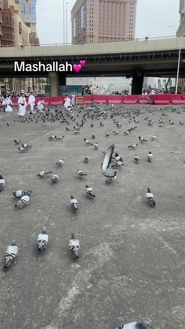 @đ§đģāĻŽā§āĻ āĻŦāĻžāϞāĻŋāĻāĻž đ§đģ