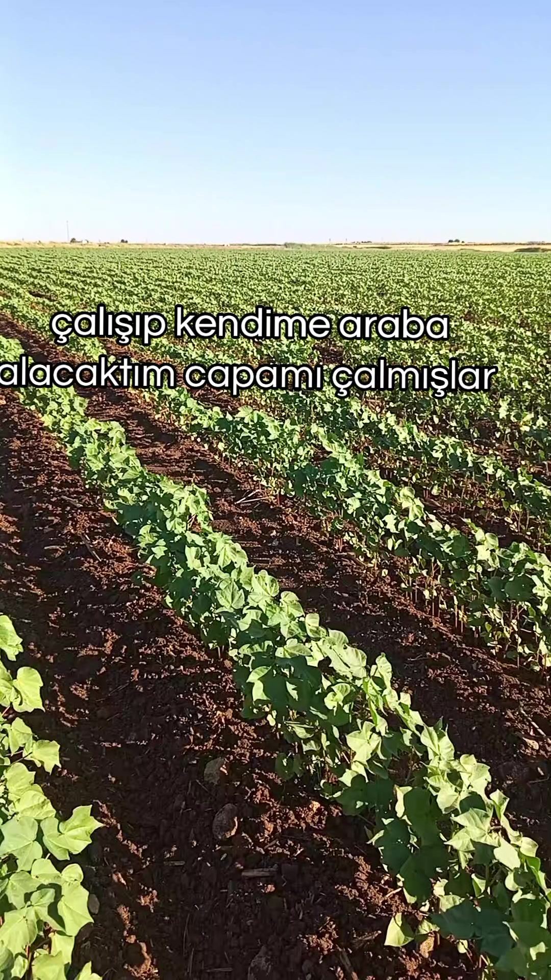 @İLYAS KANAT