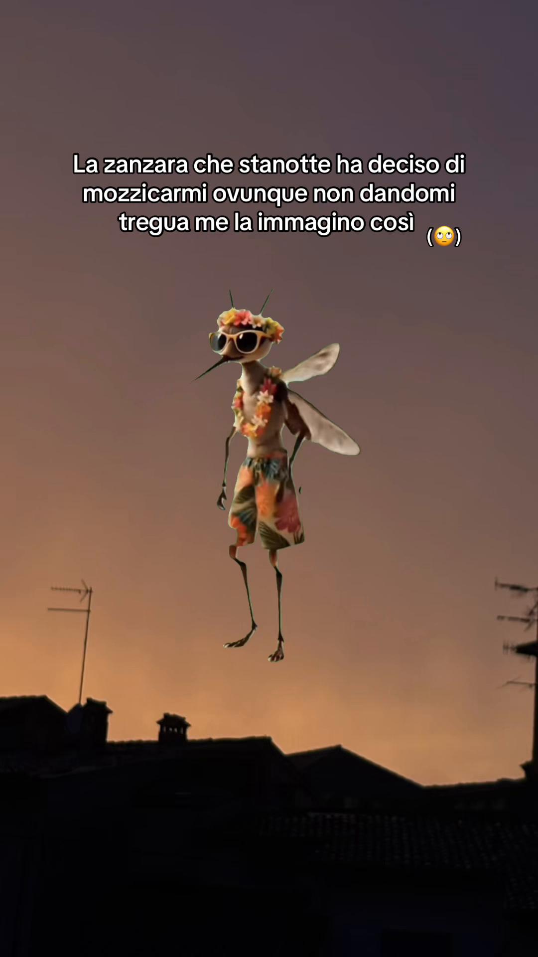 @anninaaina