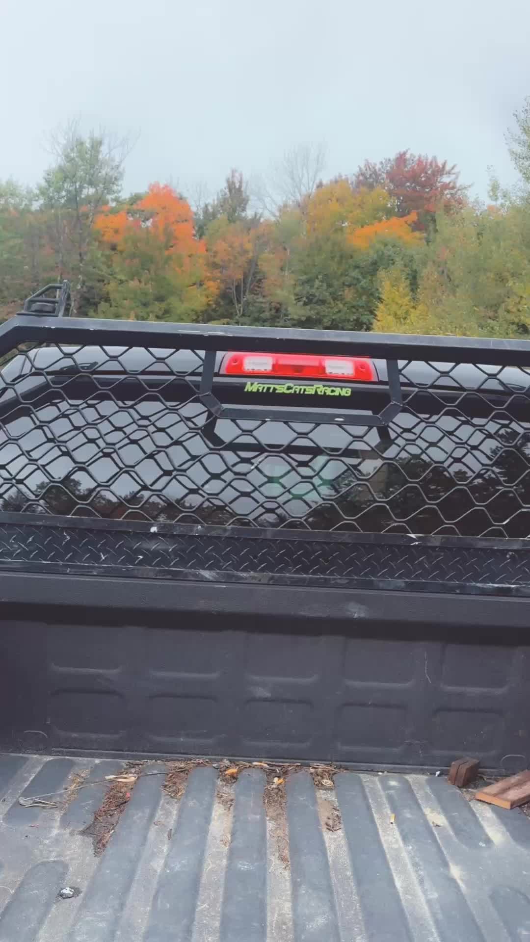 @Arcticcatmatt