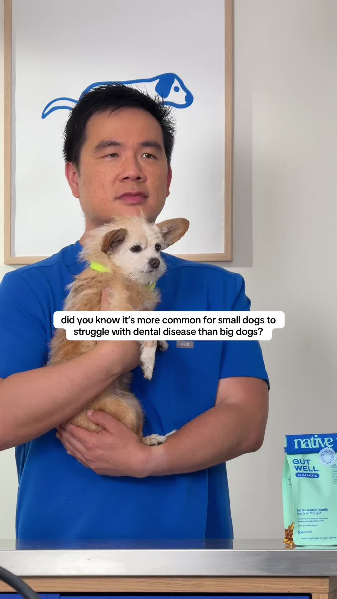 @Native Pet