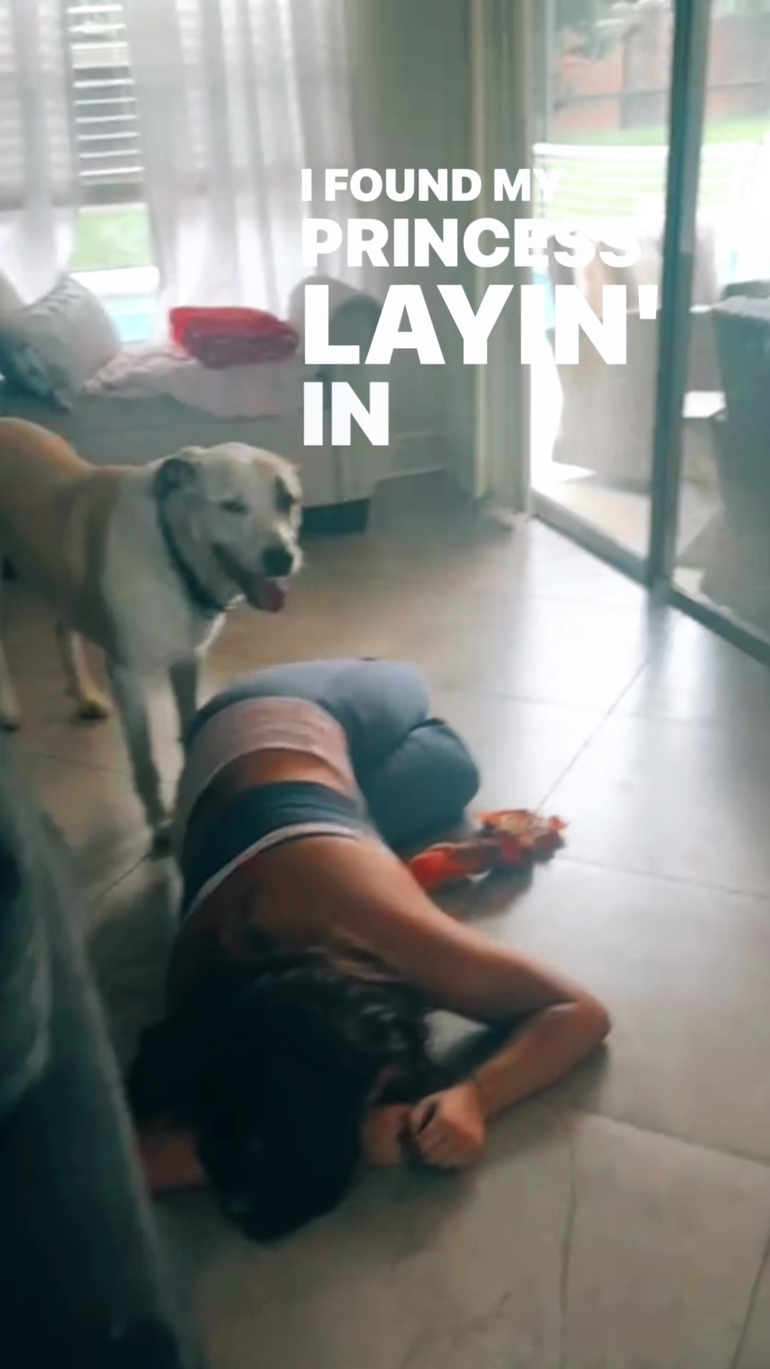 @bellsspamm