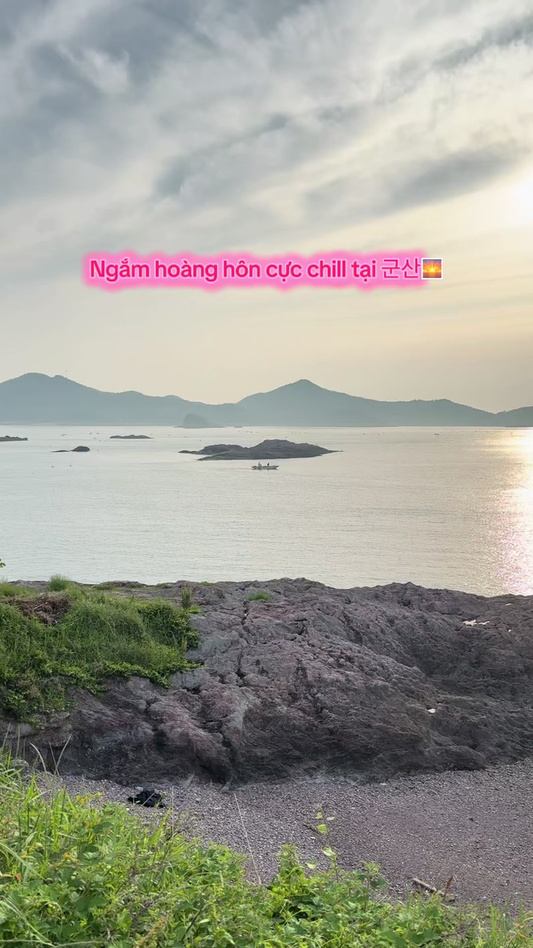 @⋆. 𐙚 ˚ Thương ༘⋆🌷🫧💭₊˚ෆ