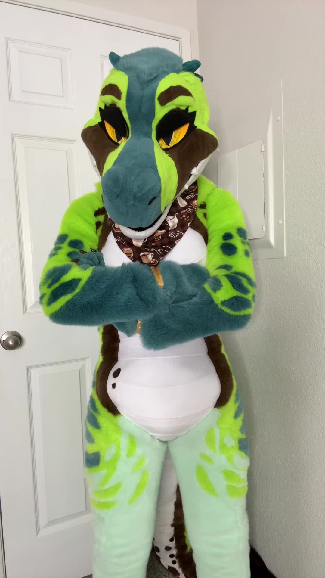 @Aeko🔜Furlandia 2026