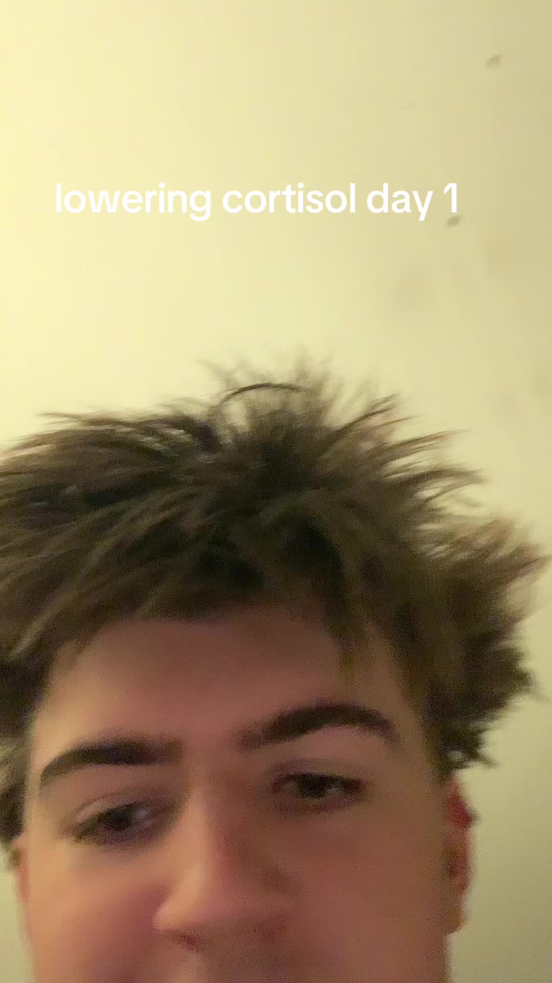 @zuh