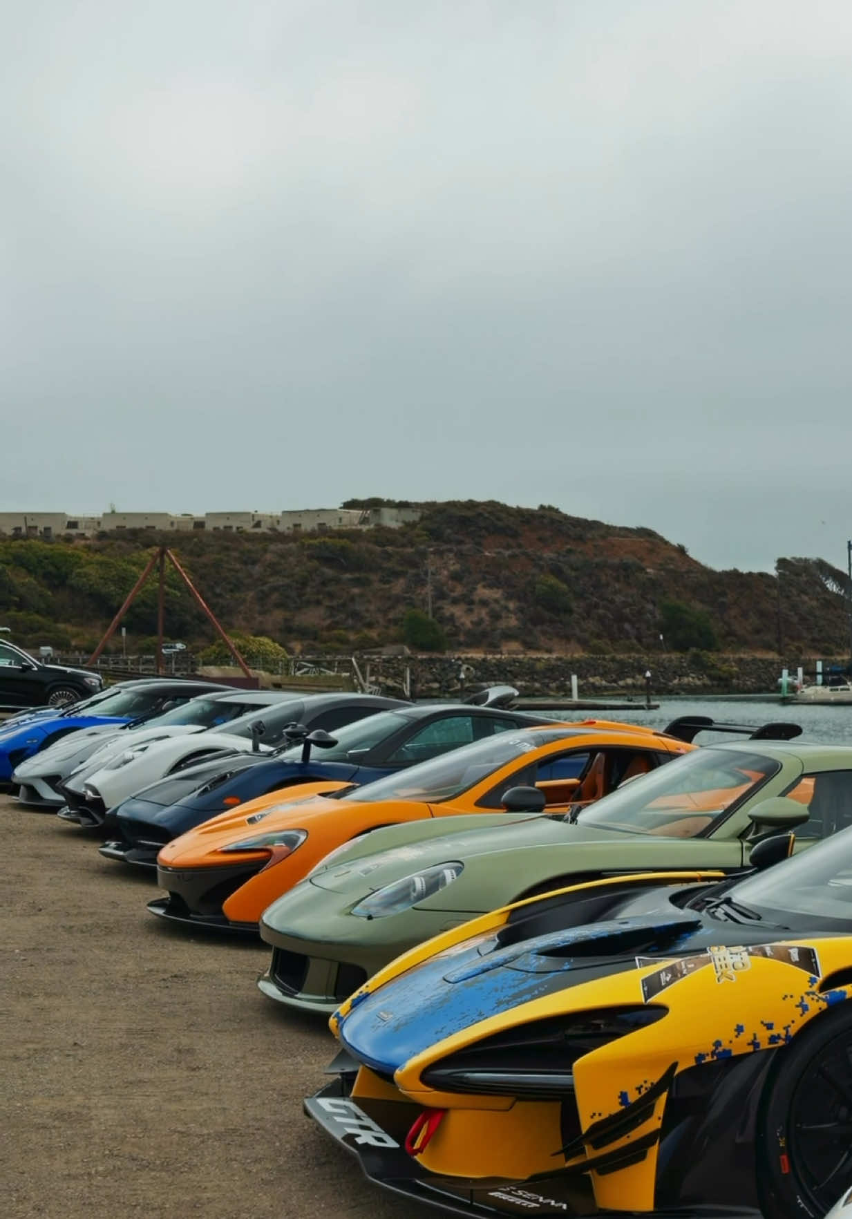 @theexoticsnetwork