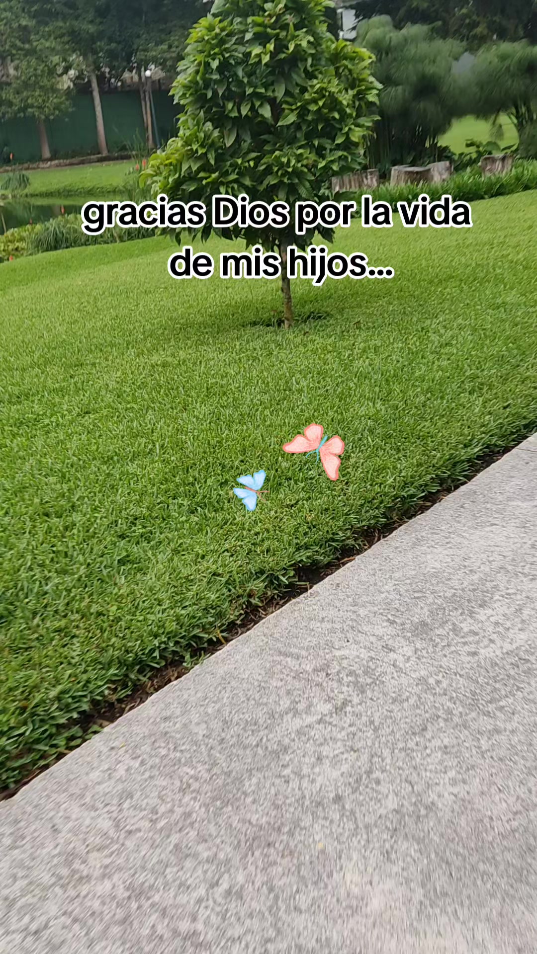 @🦂 Arely 🍀🍀