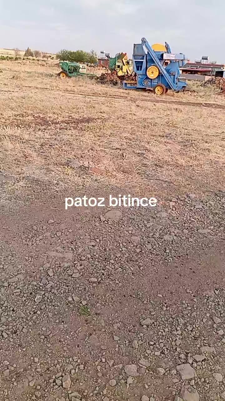 @MEMOLİ 82 21