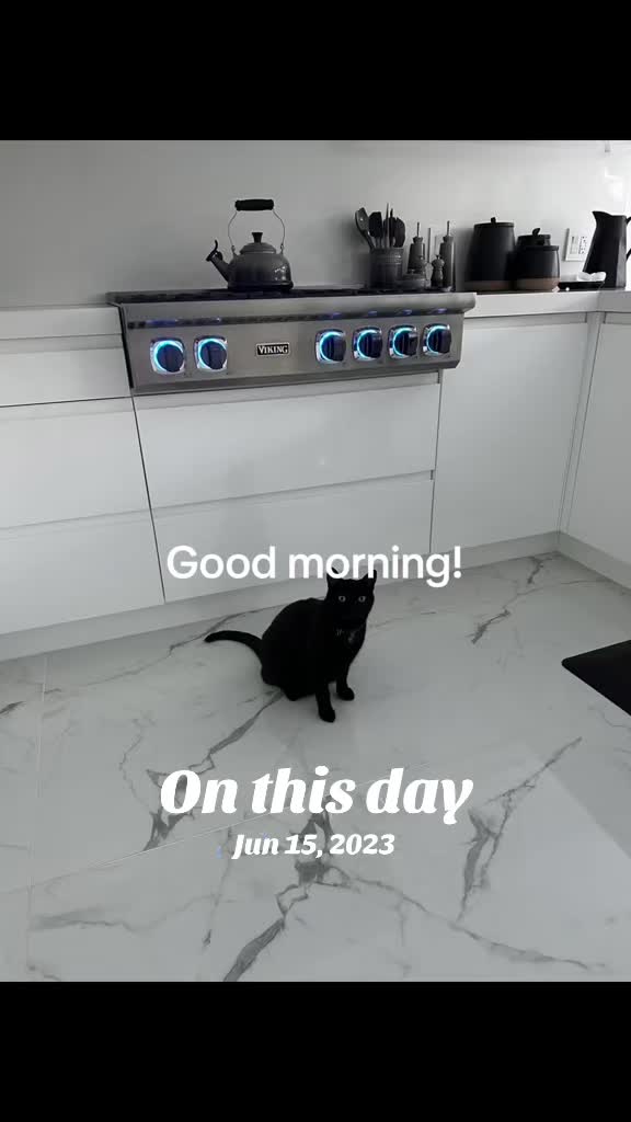 @Oscar Jeremy the cat!