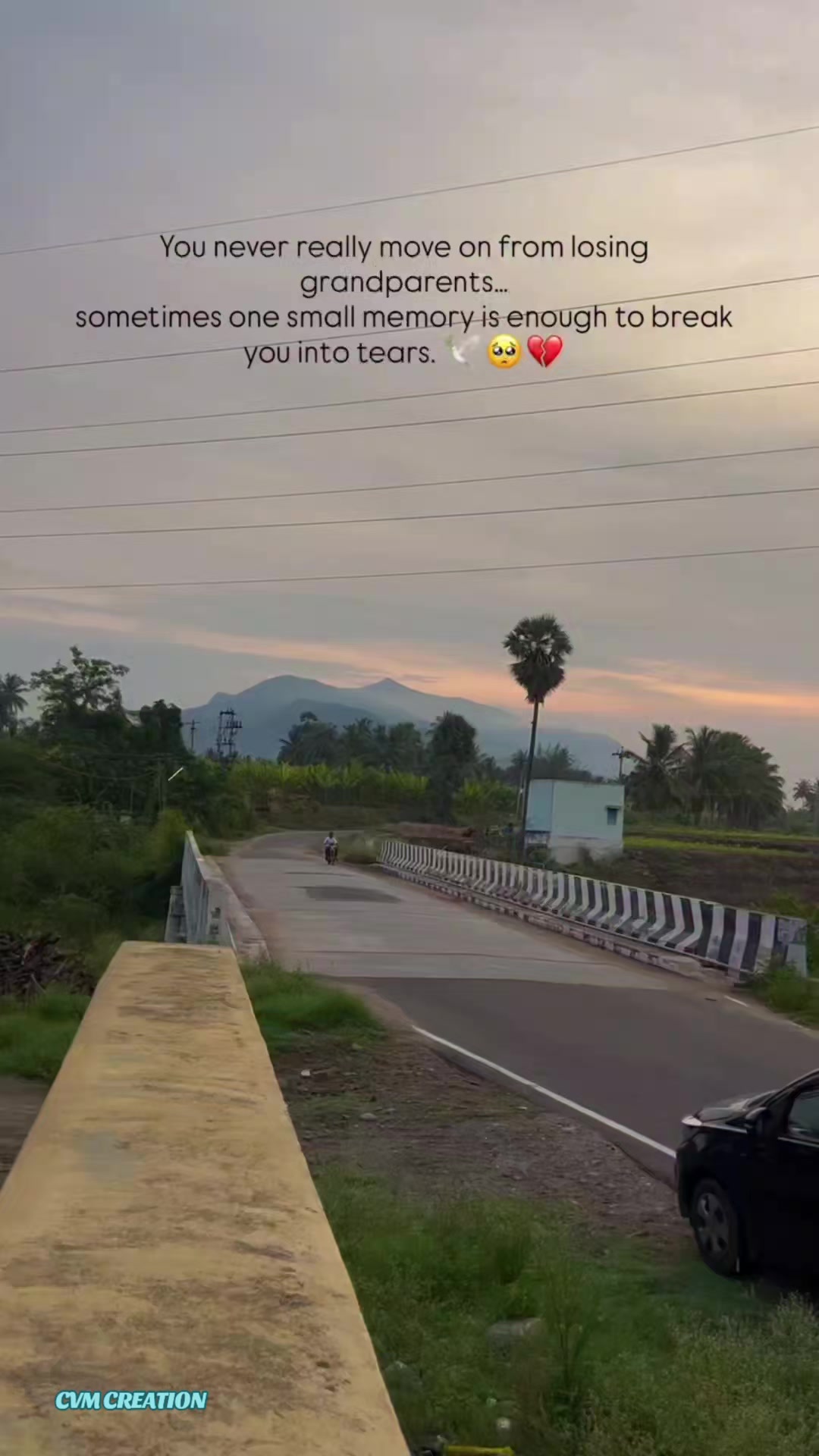 @CVM_ZN 🔅