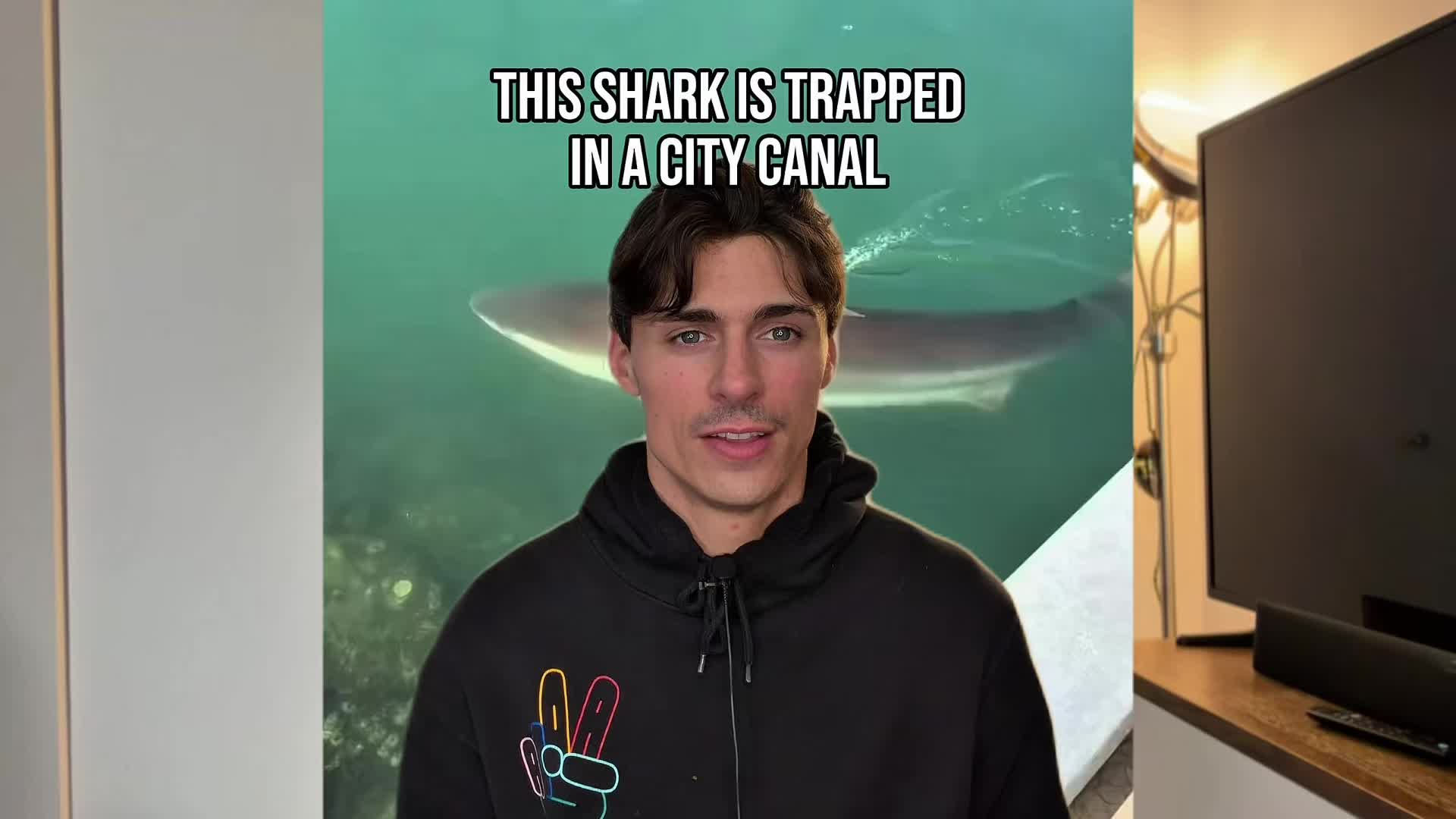 @NoahGlennCarter