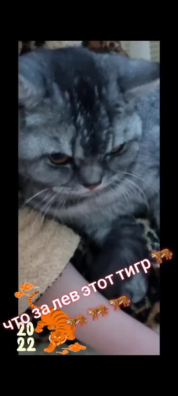 @ярик праздник