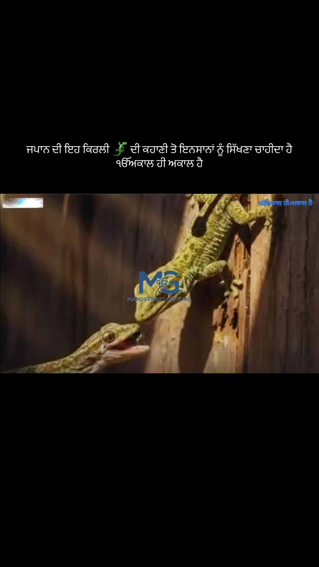 @Mandeep Singh Gill