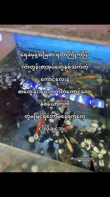 @𝗞𝗮𝗶 ᥫ᭡