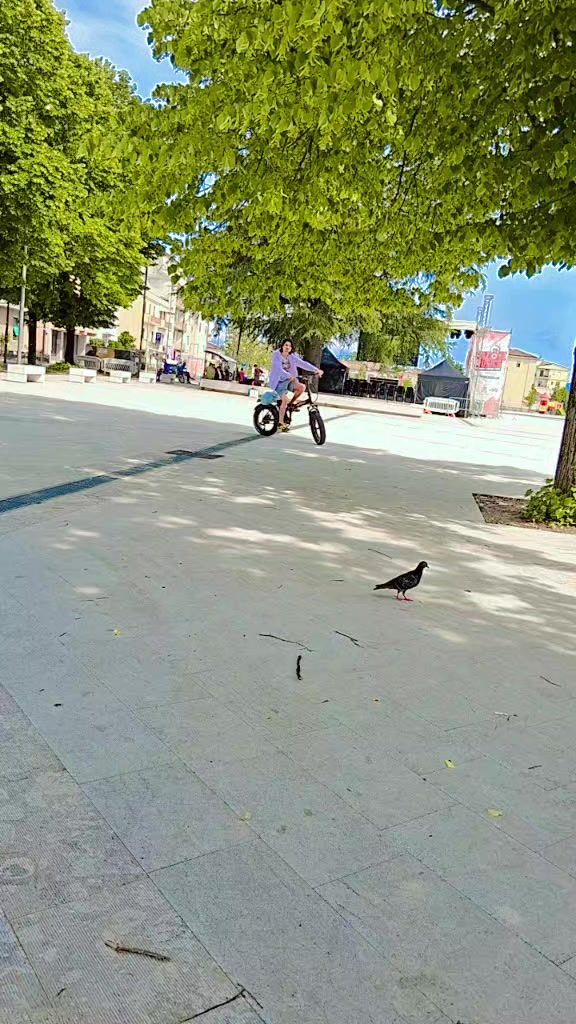 @🇪🇺ŽÃŘĞØØ🫀(*PĚÉŘ´)🦅🇮🇹🦅