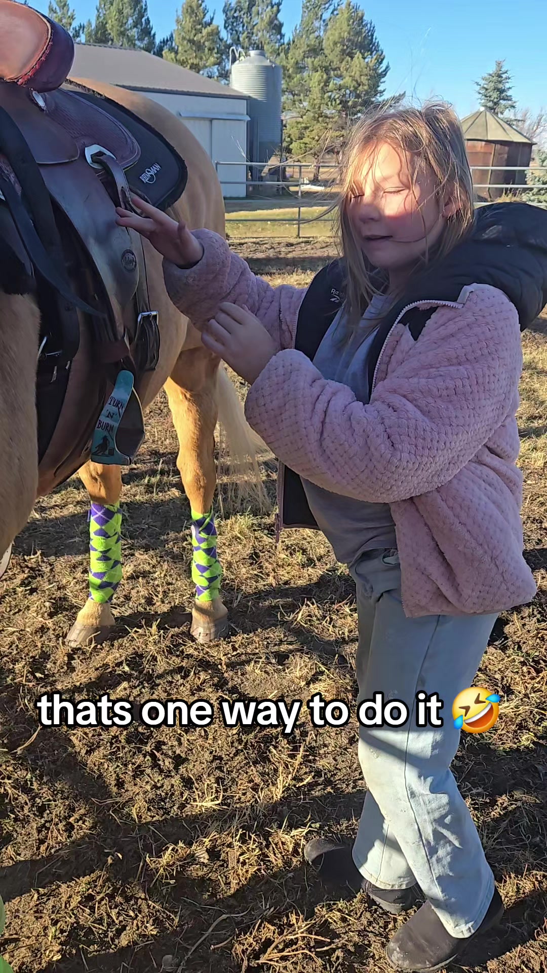 @EquestrianWeirdo