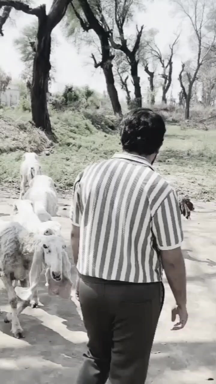 @مہر مدثر 🖤🤍