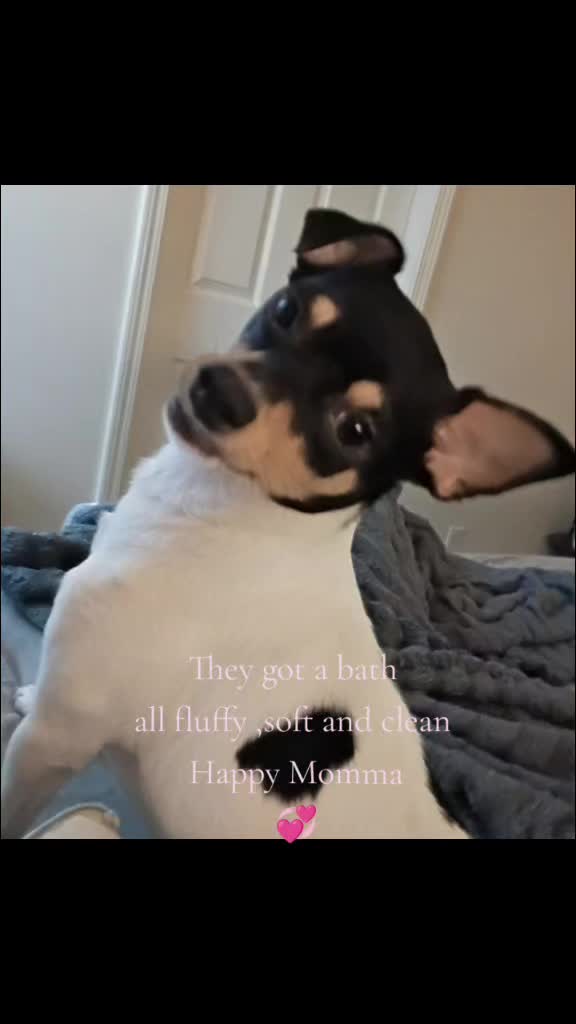 @Moni