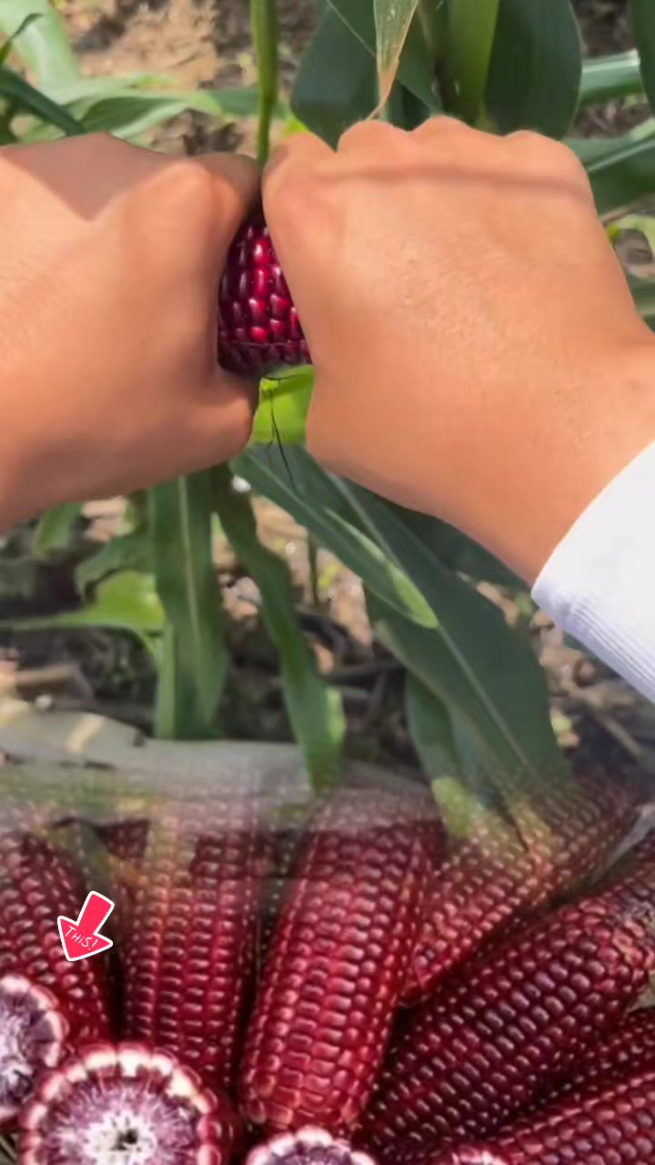 @tới đồ dùng